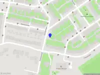 Birth Profile Analyst