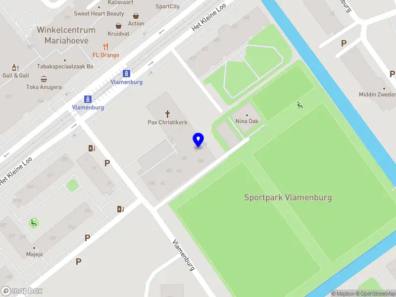 Svetlana Project & Delivery Consulting