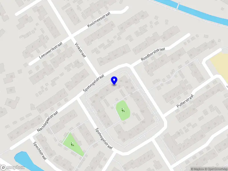 Moedergoud