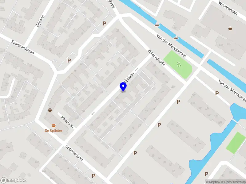Bold Botanics