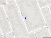Nessa's Fast Delivery