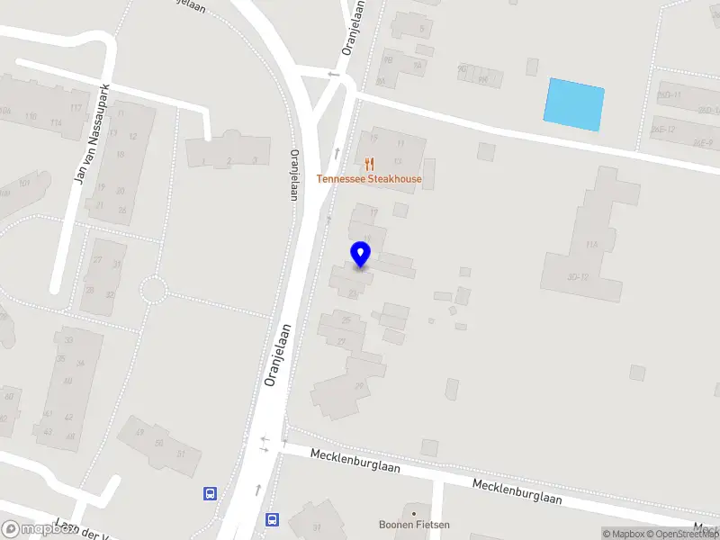 Reckmantechniek