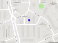 The Golden Chicken