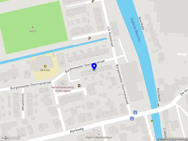 Van Vliet Verliesbegeleiding