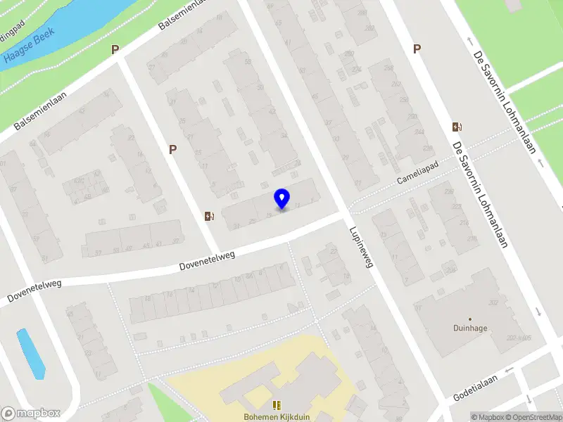Zayden Properties