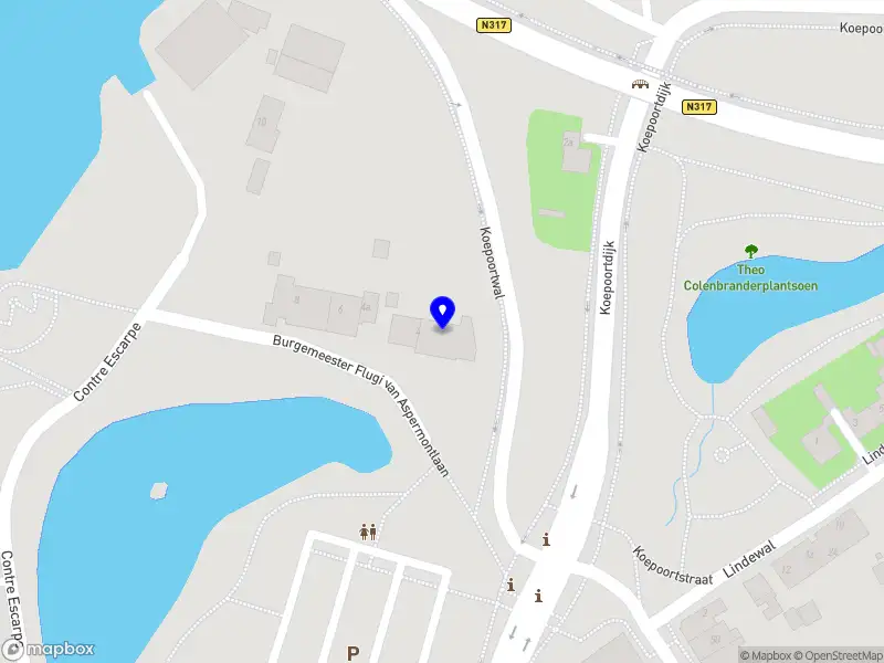 Janssen Expertise en Advies