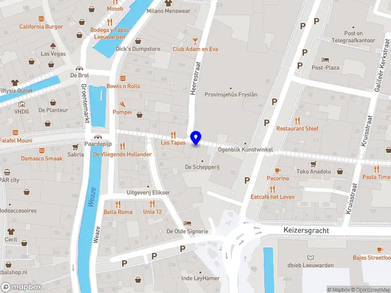 De Heeren van Nassau