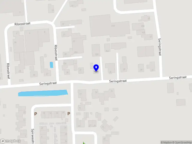 Westeneng Egalisatie B.V.