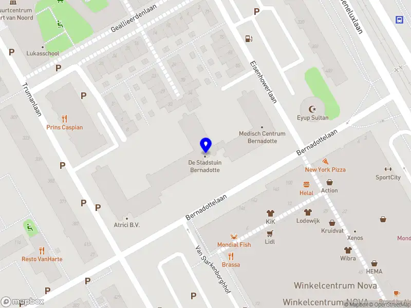Nieuw bedrijf Domino Holding B.V.