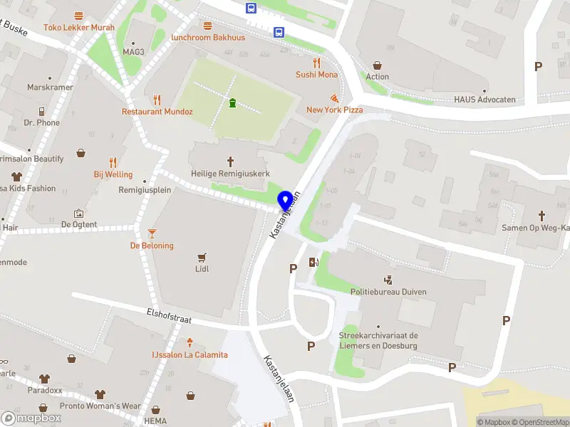 Van Aalst Chiropractie B.V.