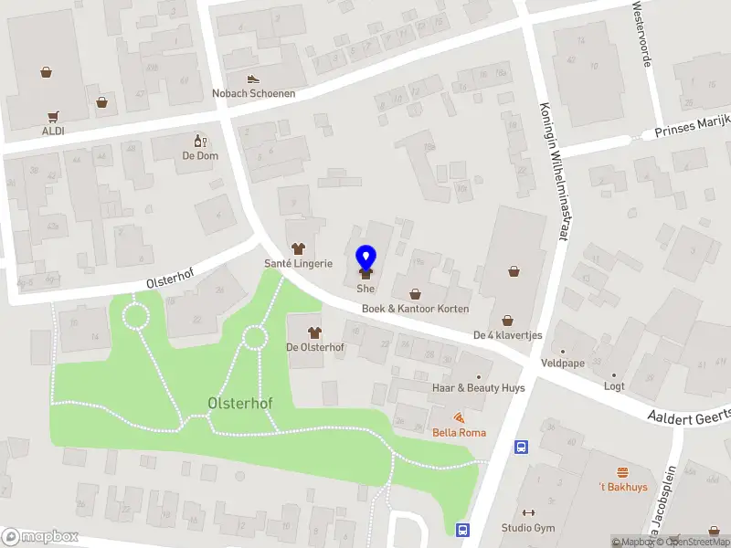 Vereniging van Eigenaars gebouw Aaldert Geertsstraat 17 en 17a te Olst
