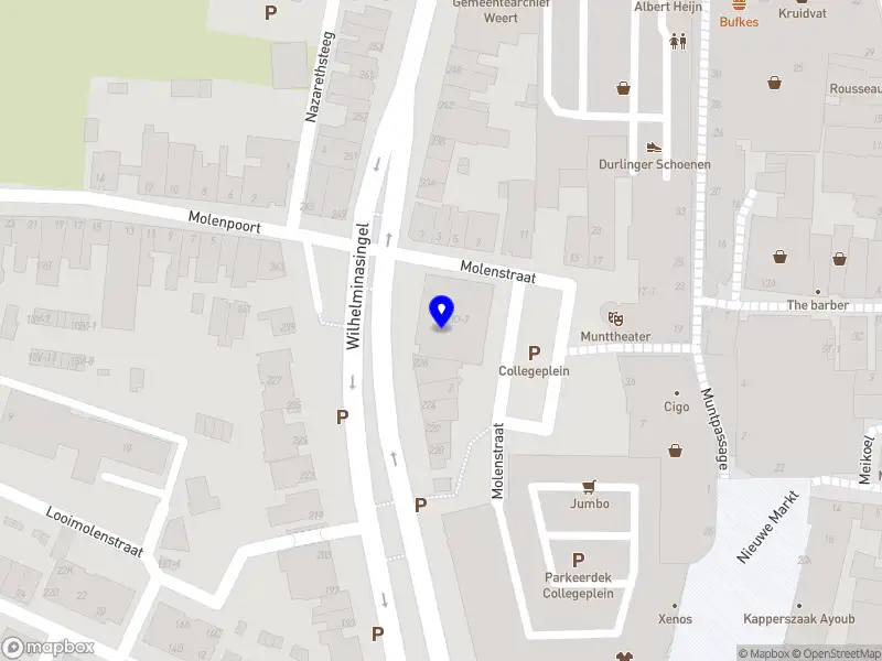Pro Safety Services