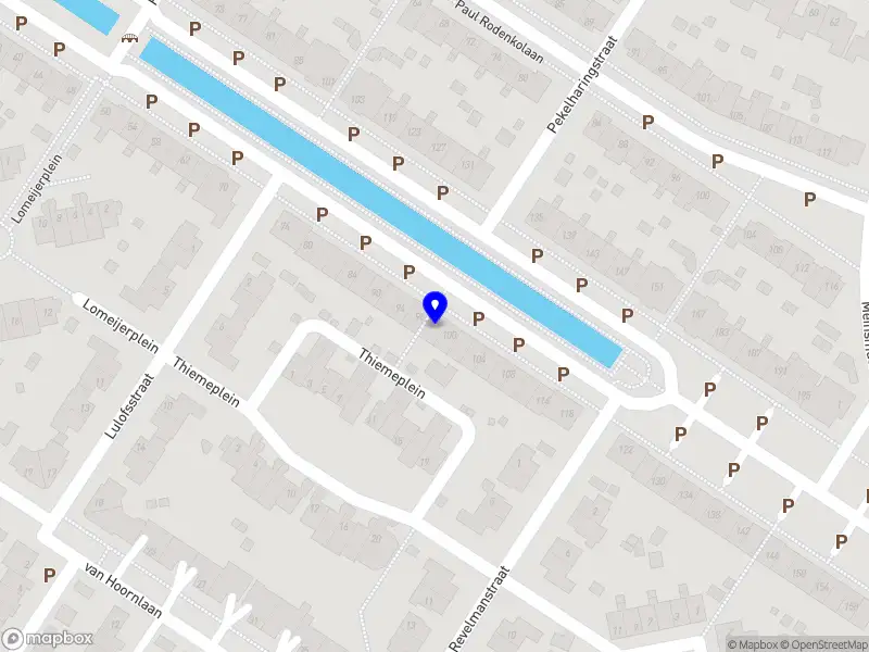 VylorNode