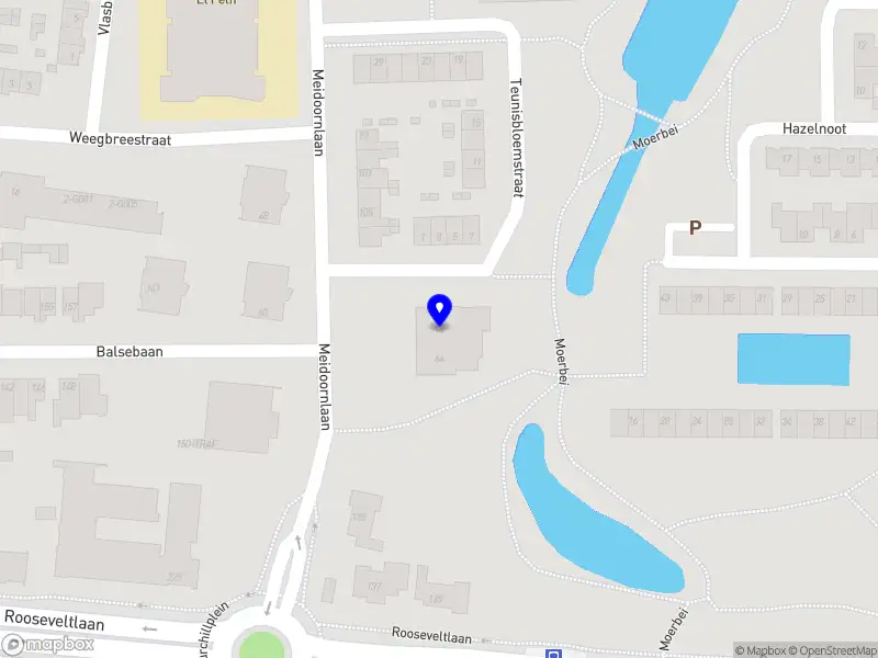 Nieuw bedrijf Hoornweg Advies en Management