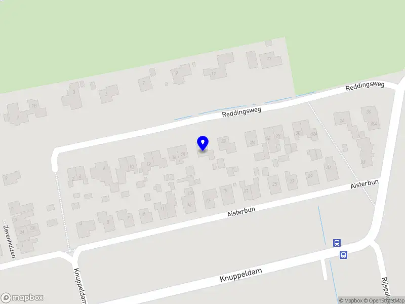 Cogneton