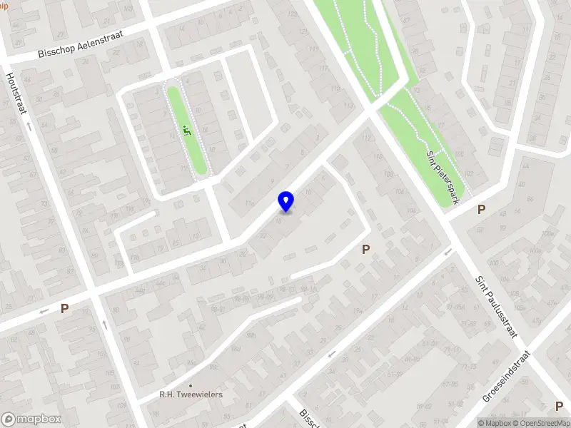Ramses Maximus Holding B.V.