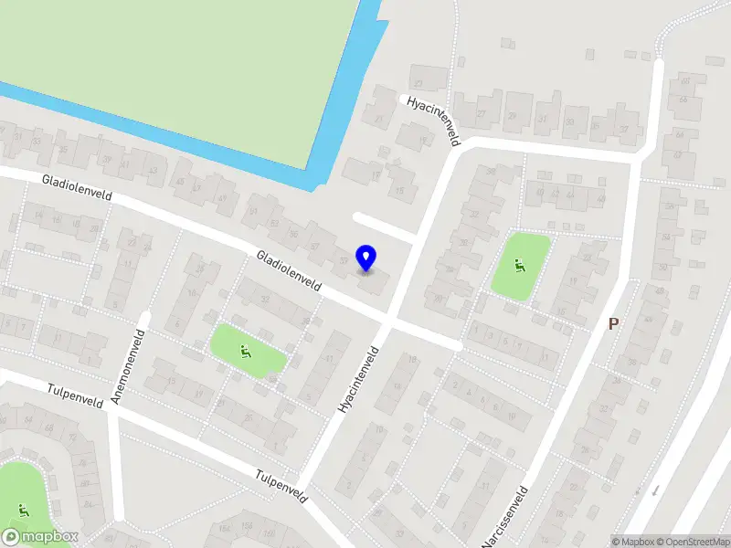 LLM Solution Holding B.V.