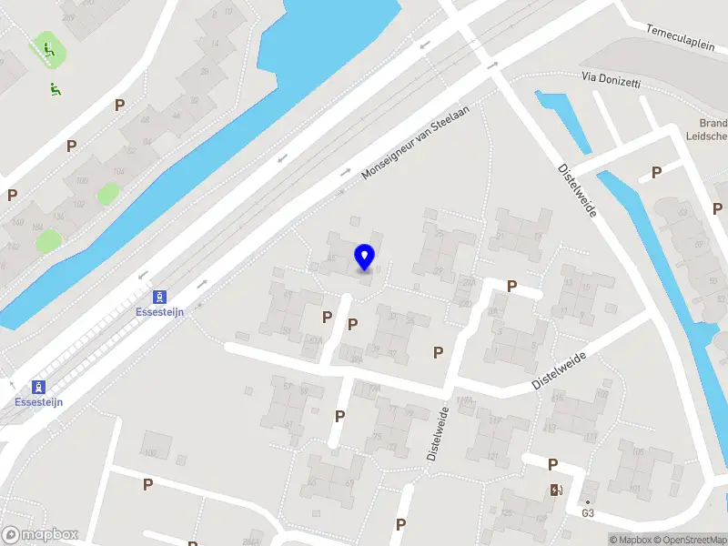 Singels Automotive