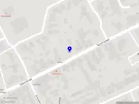 MS