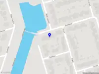Kiekfijn