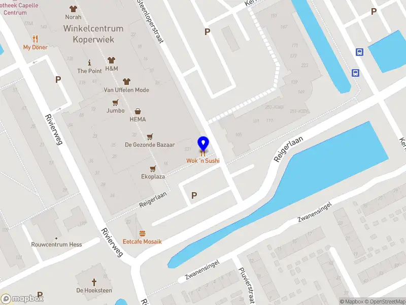 Nieuw bedrijf Wok 'n Sushi B.V.
