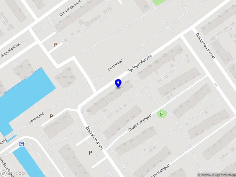 Rochenne security services