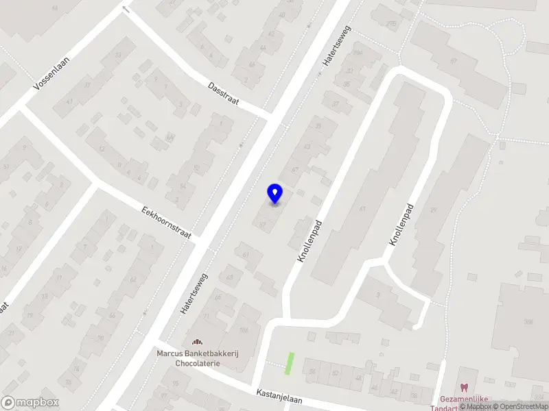 MSR Dental