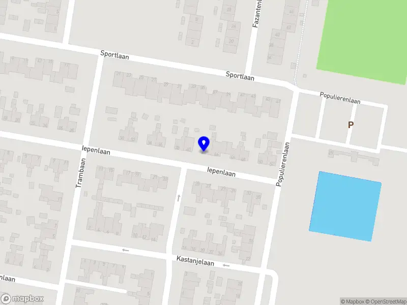 Denise Pennekamp