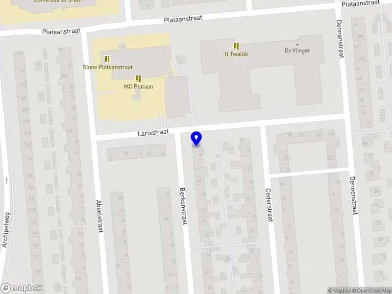 Mia Pro Services
