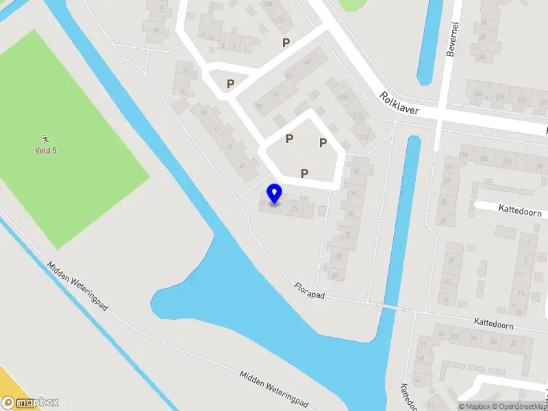 PUH FPV