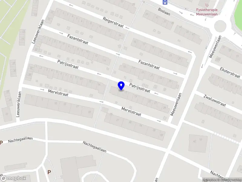 Kallosum Holding B.V.