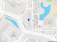 Maggiolo Security Services
