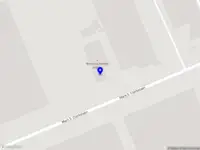 Stichting Womy Foundation
