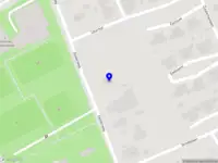 AI & BI Consultancy
