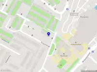 Hoenderboom-infra