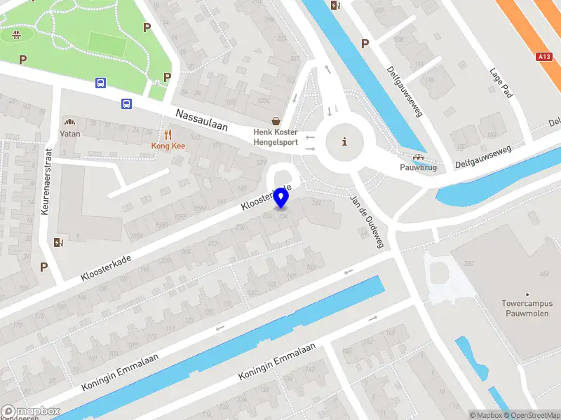 Stichting Delfinitely