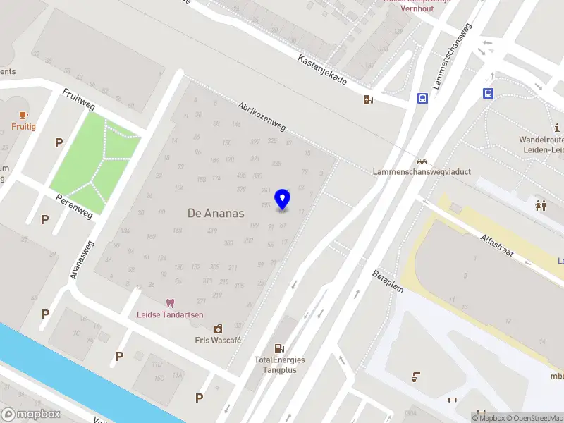GeoTyna