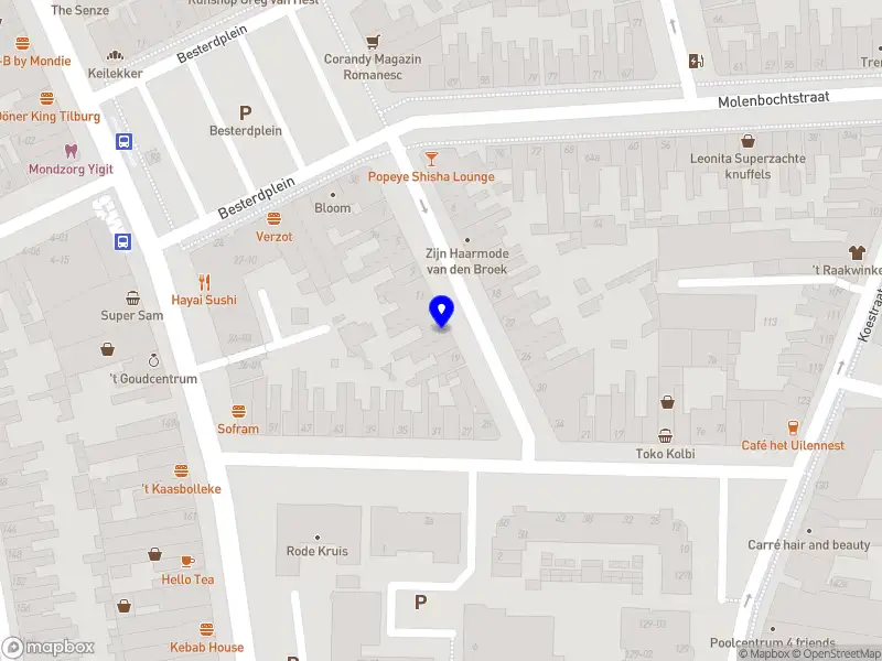 Delinc Holding B.V.