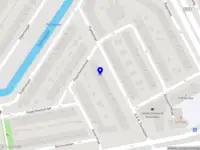 Niyu Moves