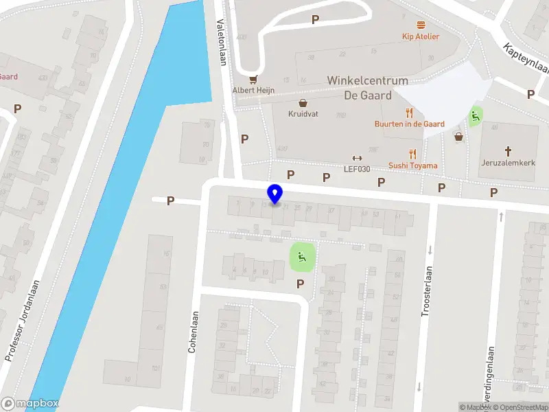 Organisatie Versnellers