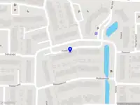 LoonCheck Online