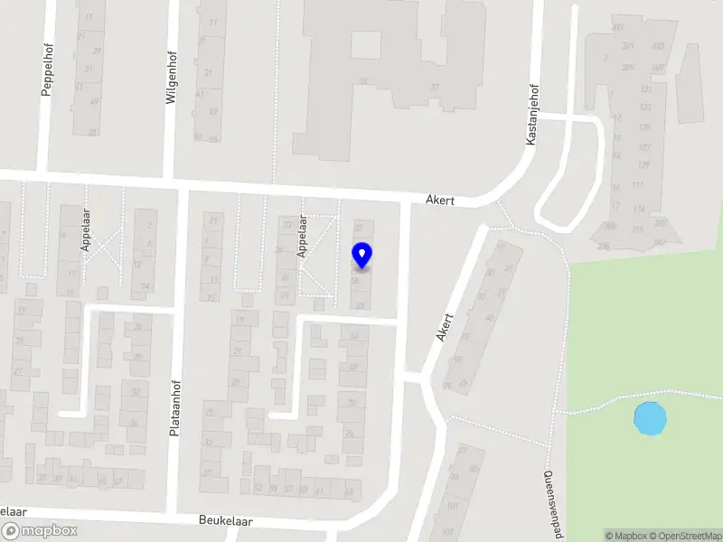AMC Services