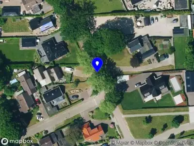 Toestemming voor het kappen van een boom nabij Sint Gerardusstraat 215 te Emmen