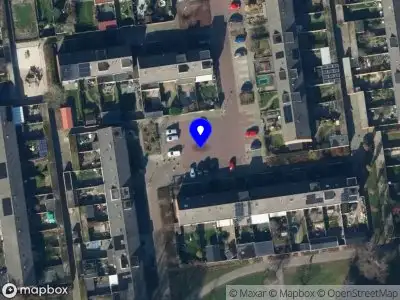 Aanvraag vergunning voor het kappen van een boom nabij Laan van de Bork 424 te Emmen