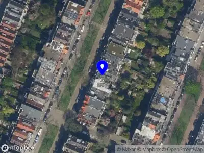 Kapvergunning Voorschoterlaan  Rotterdam