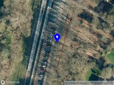 Gemeente Brummen - Ingediende aanvraag reguliere omgevingsvergunning, het kappen van 9 beuken en 1 eik, nabij de Stationsweg in Brummen, Kadastraal BMN01-G-6226