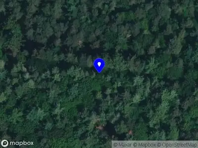 Bekendmaking Aangevraagde evenementenvergunning intocht sinterklaas in Gorssel