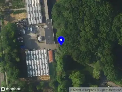 Toestemming voor het snoeien van een boom en het kappen van 4 bomen met een herplantplicht van 4 bomen aan Molenkamp 2, Groene Allee 90 en 110 te Ermelo