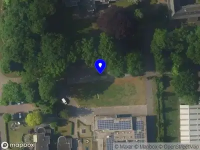 Toestemming voor het snoeien van een boom en het kappen van 4 bomen met een herplantplicht van 4 bomen aan Molenkamp 2, Groene Allee 90 en 110 te Ermelo