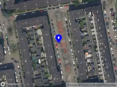 Kapvergunning Immobilialaan  Rotterdam